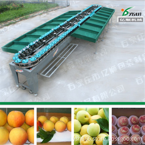 Apple grading machine YSXS-76-16-100 factory price